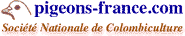 S.N.C.
